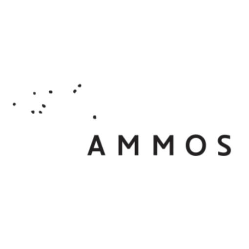 Ammos Hotel